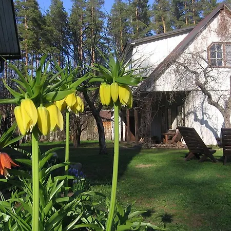 Puhkemaja Manni Farm Holiday House Eoste