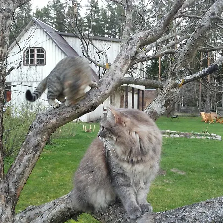 Maenni Farm House Дом отдыха Eoste