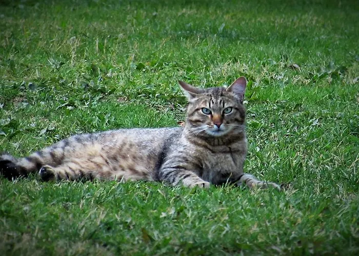 Puhkemaja Manni Farm Holiday House Eoste