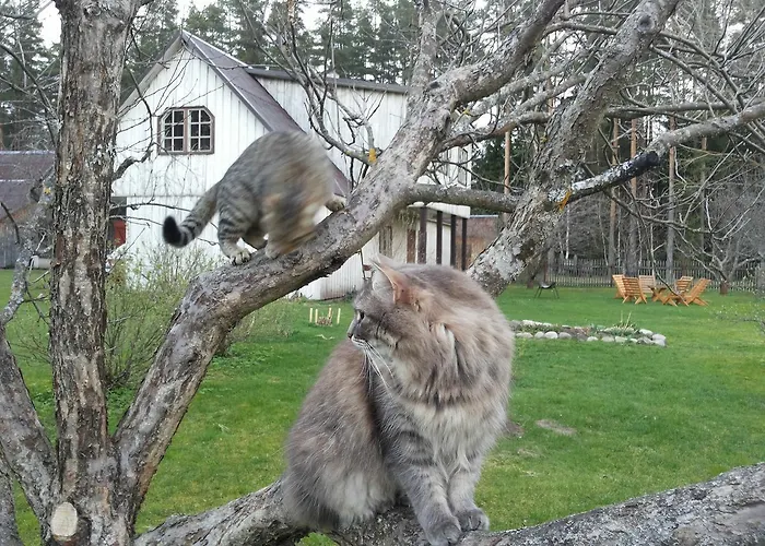 Manni Farm Holiday House Puhkemaja Eoste